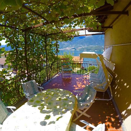 L'Agrifoglio Appartement Lezzeno Buitenkant foto