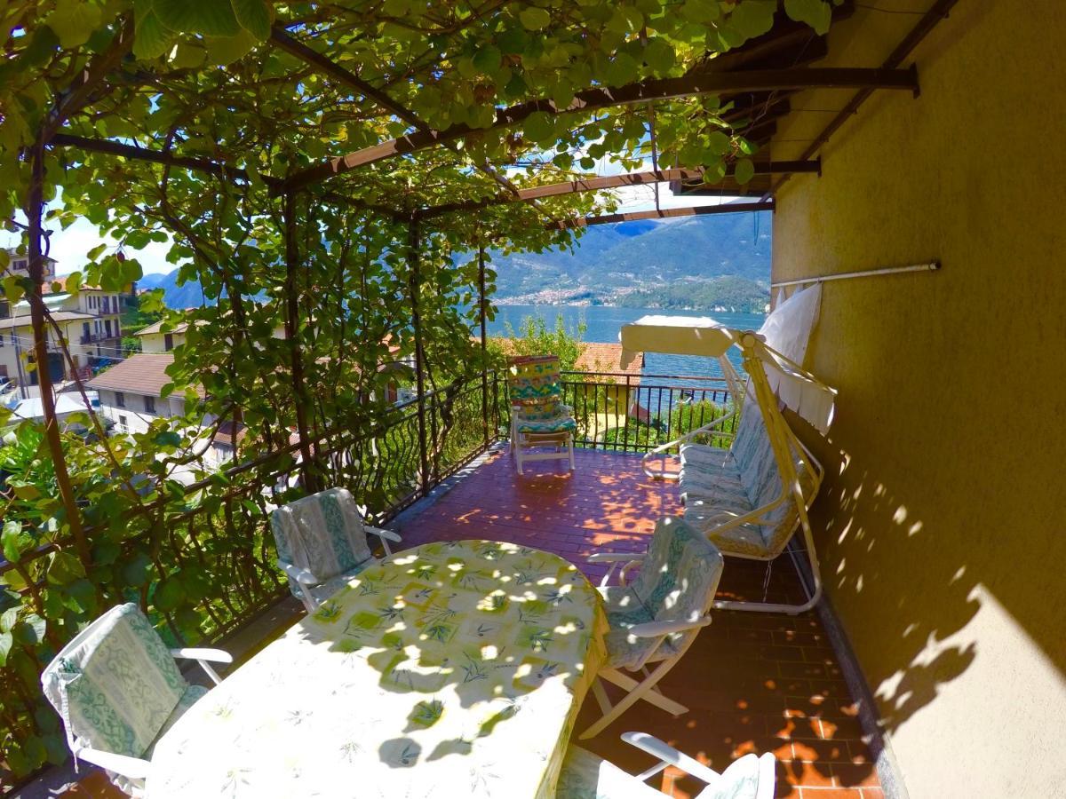 L'Agrifoglio Appartement Lezzeno Buitenkant foto