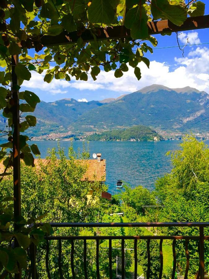 L'Agrifoglio Appartement Lezzeno Buitenkant foto